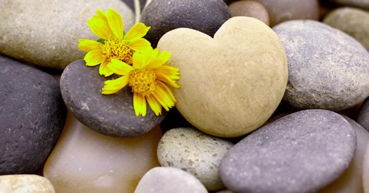 Bereavement Grief and Loss